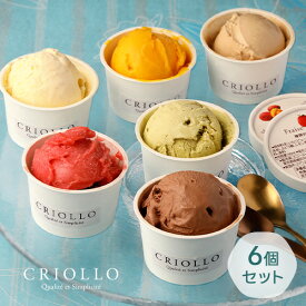 【単品配送・同梱不可】アイスクリーム ＆ ソルベ 6個セット（ピスターシュ/フレーズ/バニラ/ショコラ/プラリネ・ノワゼット/マンゴー）【冷凍便】【2〜5営業日で出荷】