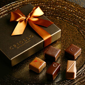 濃厚でコンパクトなのにインパクトのあるチョコレート
