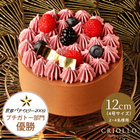 【ホールケーキ】ニルヴァナ（12cm）ブラックベリーのチョコレートケーキ【冷凍便】【朝9時までの注文・日時指定で当日出荷可】