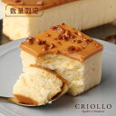 ※12月7日までのお届け【20周年記念 ノベルティ付き】幻のガイアチーズケーキ（キャラメルとバニラのチーズケーキ）【レクタ（長方形ケーキ）】【冷凍便】【朝9時までの注文で当日出荷可】【数量限定】