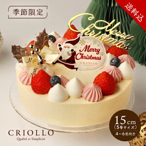 yzy125o׊JnzKCAEt[YEmGi15cmjy2025mGzyⓀցzICVbvdl 1230܂ł̂͂