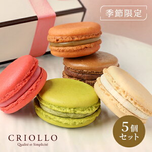 y}Jz}J5ZbgiVR/KCA/t{[Y/sX^[V/ojjyⓀցzy2`5cƓŏoׁz1230܂ł̂͂