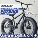 ファットバイク ビーチクルーザー 自転車　20インチ FATBIKE ファットバイク　BMXスタイル 自転車 通販【送料無料】但し沖縄・・・・