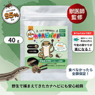 【公式】 カナヘビバイト （40g） 昆虫粉末 95％配合 爬虫類 カナヘビ 練り餌