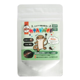 【公式】 カナヘビバイト （40g） 昆虫粉末 95％配合 爬虫類 カナヘビ 練り餌