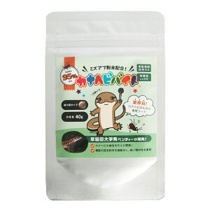 【公式】 カナヘビバイト 40g 昆虫粉末 95%配合 爬虫類 カナヘビ 練り餌