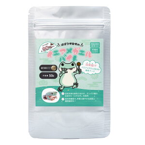 yzCGAKGoCgCGAKG̑h{Hi50gjRIMŐH sgpELy