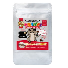 【公式】ヤモリバイト（40g） 〜ニホンヤモリ・トッケイ向け人工フード〜 3つ昆虫粉末で食いつき◎ 活餌・冷凍餌以外の人工餌をお探しの方に…