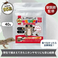 【公式】ヤモリバイト（40g） 〜ニホンヤモリ・トッケイ向け人工フード〜 3つ昆虫粉末で食いつき◎ 活餌…