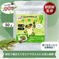 【公式】アマガエルバイト（50g）〜アマガエル向け人工フード〜 コオロギ粉末で食いつき◎ 活餌・冷凍餌…