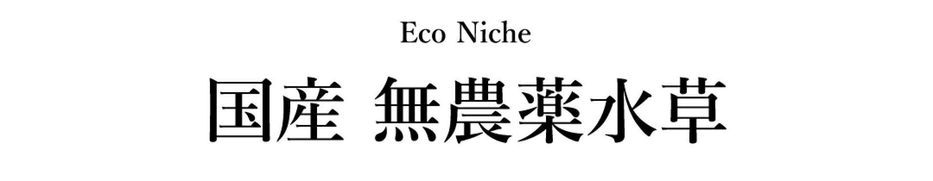 国産無農薬水草