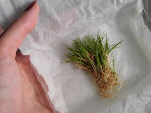 Y _ V[gwAOX t 1pbN yԌ|Cg3{zyX[p[Z[Ώہz A[g ANAE Ă₷ _J S p_E rIg[v _b`AN