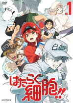 楽天市場】はたらく細胞 dvd 全巻の通販