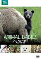【中古】 BBC earth アニマル・ベビー 野生の成長物語 [レンタル落ち] [DVD]