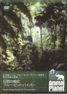 【バーゲンセール】【中古】DVD▼アニマル・プラネット 伝説の毒蛇 ブルー・ピット・バイパー 字幕のみ …