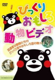 【中古】DVD▼びっくりおもしろ動物ビデオ