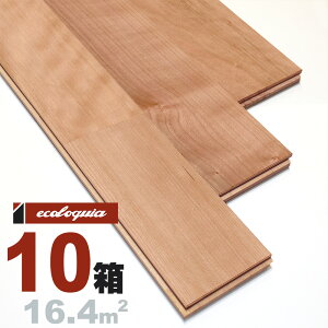 ubN `F[ j[v~A]Ct[O 15x90x1820mm h AJ TN  cherry C  t[O C tA VR Ebh