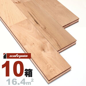 o[`iJo / j j Ct[O 15x90x1820mmyi`zRhiICdグj Jo  k i`n XJWirA C VR  C C