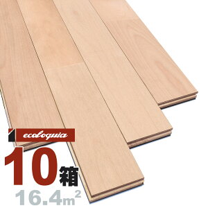 o[`iJo / j j Ct[O 15x75x1820mmyv~Azh Jo  k i`n XJWirA C VR  C C t[O tA DIY 