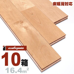 g[Ή o[`iJo / j j Ct[O 15x90x1820mmyv~AzRhiICdグj Jo  k i`n XJWirA C VR  