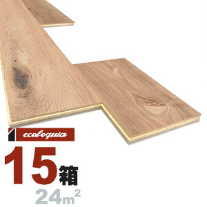 t`I[N  Ct[O 15x200xRDMmmyXeBbNzRhiICdグj ZVI[N [sAI[N RI[N i  i`n C V