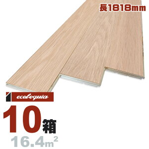 I[Nii / j ꖇ EH[pl 7.5x90x1818mmyv~Azh i  ubNX^C C_XgA Ք i` P VR  t[O t