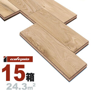 zCgI[N  Ct[O 15x150xRDMmmyXeBbNzh ubNX^C [sAI[N i  i`n C VR  C C t[O 