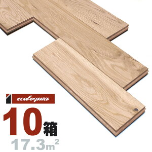 zCgI[N  Ct[O 19x120xRDMmmyXeBbNzRhi؃ICdグj ubNX^C [sAI[N i  i`n C VR  C