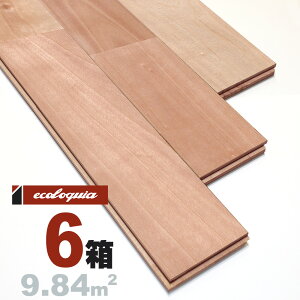 Vo[ `F[ j[v~A]Ct[O 15x90x1820mm RhiICdグj TN JoUN  cherry C  C t[O C tA 