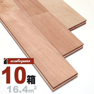 Vo[ `F[ j[v~A]Ct[O 15x90x1820mm RhiICdグj TN JoUN  cherry C  t[O C tA VR 