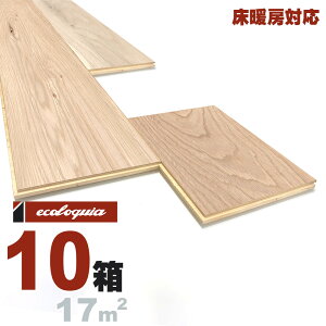 g[Ή zCgI[N  t[O 15x189xRDMmmyi`zh ubNX^C [sAI[N i  i`n C VR  C C t