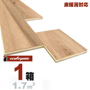 g[Ή zCgI[N  t[O 15x189xRDMmmyi`zRhiICdグj ubNX^C [sAI[N i  i`n C