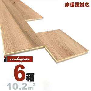 g[Ή zCgI[N  t[O 15x189xRDMmmyi`zRhiICdグj ubNX^C [sAI[N i  i`n C