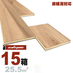 g[Ή zCgI[N  t[O 15x189xRDMmmyi`zRhiICdグj ubNX^C [sAI[N i  i`n C