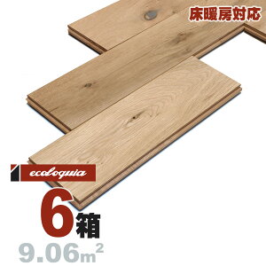 g[Ή zCgI[N  Owt[O 14x138xRDMmmyXeBbNzh ubNX^C [sAI[N i  i`n C VR  C C t