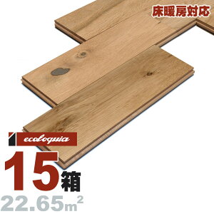 g[Ή zCgI[N  Owt[O 14x138xRDMmmyXeBbNzRhiICdグj ubNX^C [sAI[N i  i`n C