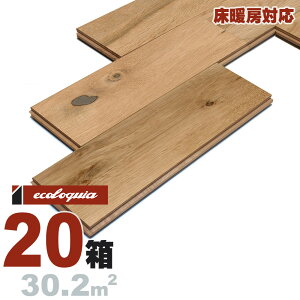 g[Ή zCgI[N  Owt[O 14x138xRDMmmyXeBbNzRhiICdグj ubNX^C [sAI[N i  i`n C