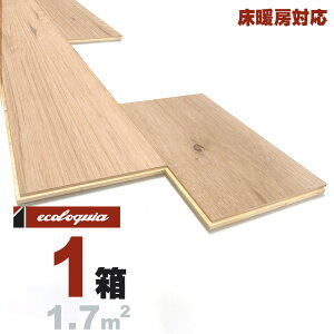 g[Ή zCgI[N  t[O 15x189xRDMmmyXeBbNzRhi؃ICdグj ubNX^C [sAI[N i  i`n C VR