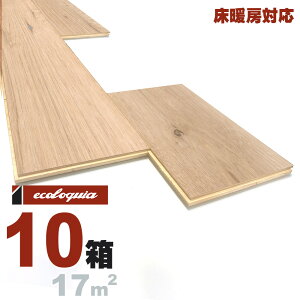 g[Ή zCgI[N  t[O 15x189xRDMmmyXeBbNzRhi؃ICdグj ubNX^C [sAI[N i  i`n C VR