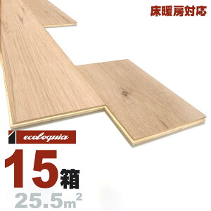 g[Ή zCgI[N  t[O 15x189xRDMmmyXeBbNzRhi؃ICdグj ubNX^C [sAI[N i  i`n C VR