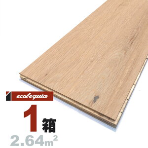 zCgI[N  t[O 18x300xRDMmmyXeBbNzh ubNX^C [sAI[N i  i`n C VR  C C t[O 