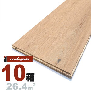 zCgI[N  t[O 18x300xRDMmmyXeBbNzh ubNX^C [sAI[N i  i`n C VR  C C t[O 