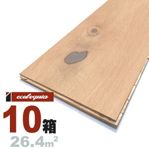 zCgI[N  t[O 18x300xRDMmmyXeBbNzRhi؃ICdグj ubNX^C [sAI[N i  i`n C VR  C