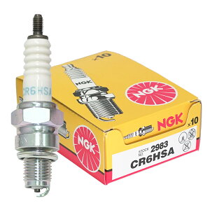 NGK Xp[NvO CR6HSA lW 2983 10{Zbg oCN vO _΃vO AhXV125 }Oi50 GCv gJu 