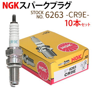 NGK Xp[NvO CR9E lW 6263 10{Zbg oCN vO _΃vO oIX GSX250FX [t@[1100