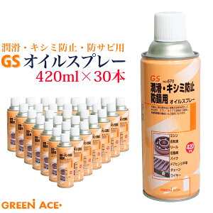 GS ICXv[ 420ml 30{Zbg No.670 Xv[  LV~h~ hTr ~V ] [  oCN hAqWˎ `F[ C[