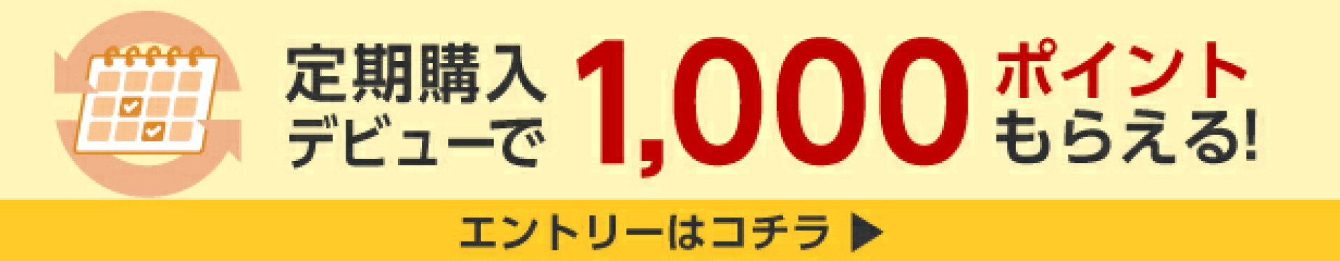定期購入デビューで1000ポイント