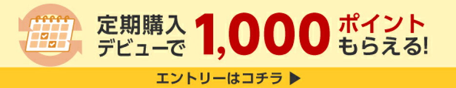 定期購入デビューで1000ポイント