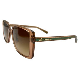 COACH コーチ ディズニーコラボ 5749/74 56□19 145 サングラス アイウェア 小物 カラーレンズ プラスチック ブラウン系