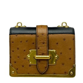 PRADA プラダ カイエ ミニ 1BH058 ポーチ ポシェット 小物入れ コンパクト ミニバッグ オーストリッチ レザー GP ブラウン ブラック